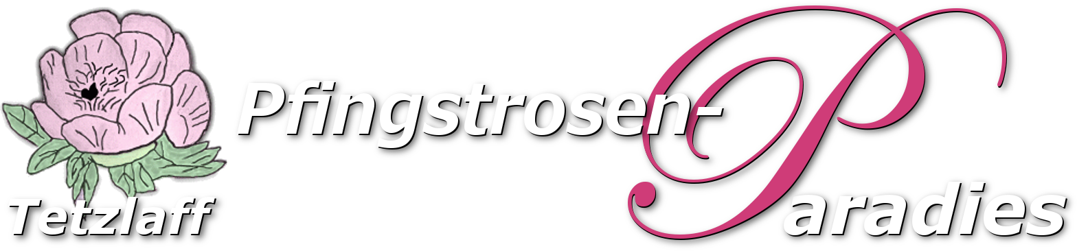 Pfingstrosen-Paradies